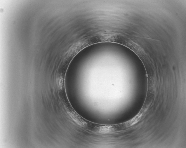 X0000087750090200705141300