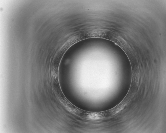 X0000087750091200705141300