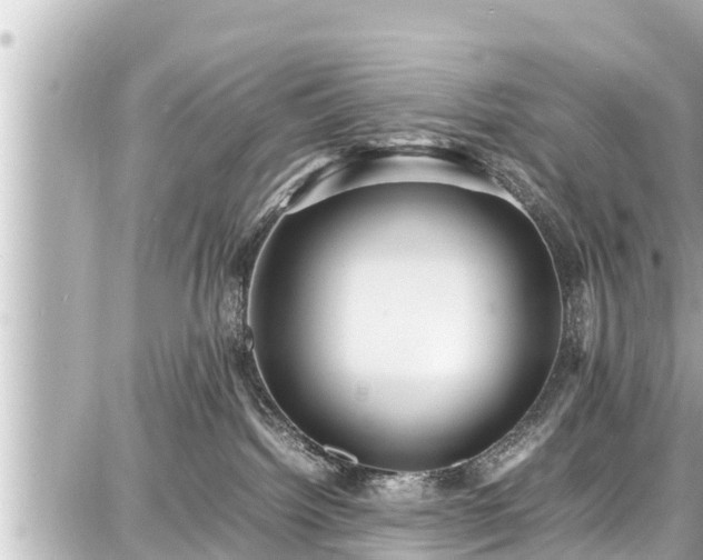 X0000087750092200705141301