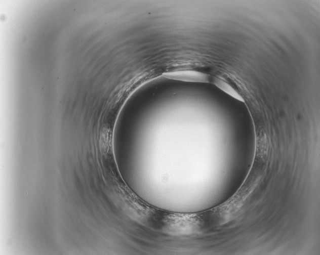 X0000087750093200705141301