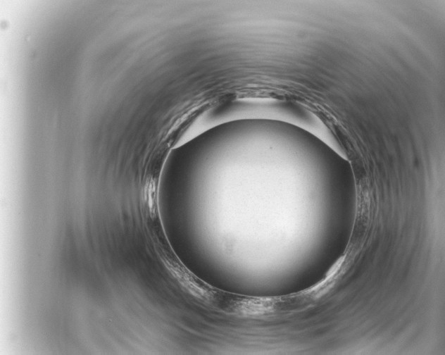 X0000087750094200705141301