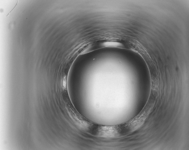 X0000087750095200705141301