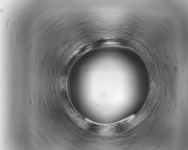 X0000087750096200705141301