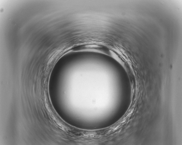 X0000087750097200705141300