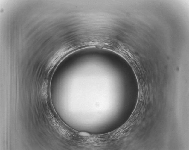 X0000087750098200705141300