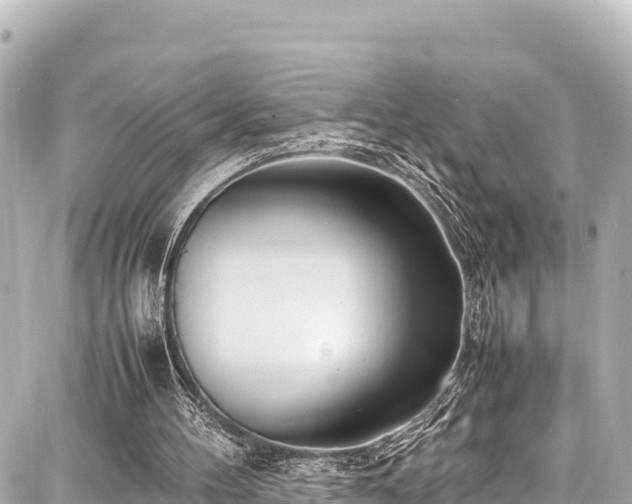 X0000087750100200705141300