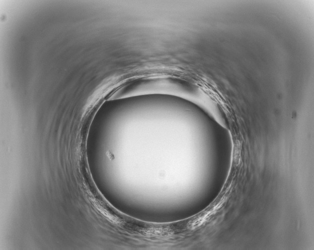 X0000087750101200705141300