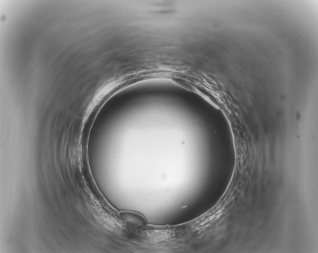 X0000087750102200705141300