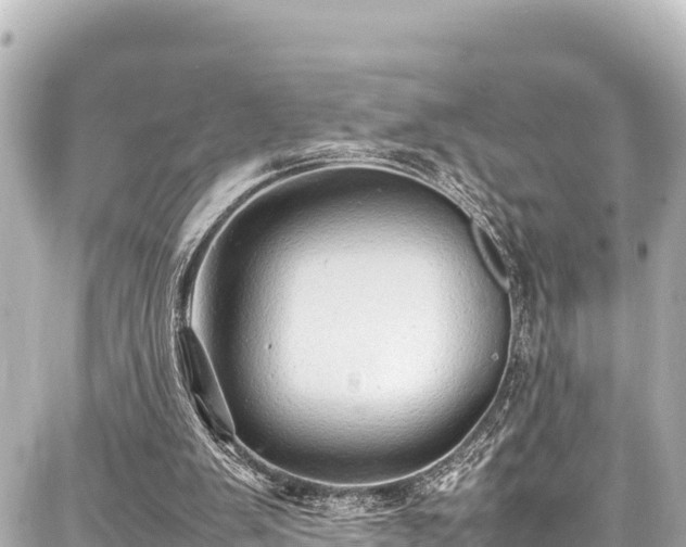 X0000087750103200705141300