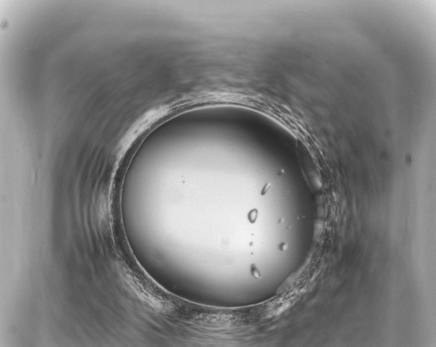 X0000087750104200705141300