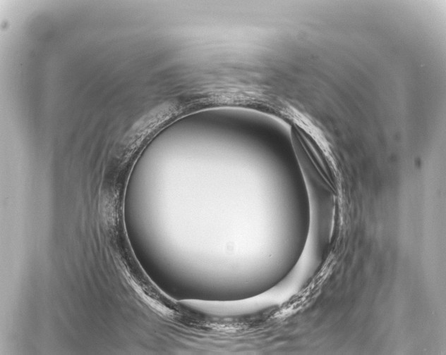 X0000087750105200705141300