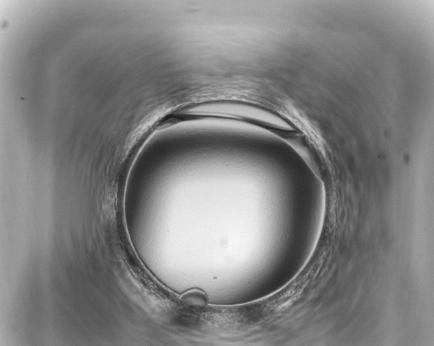 X0000087750107200705141300