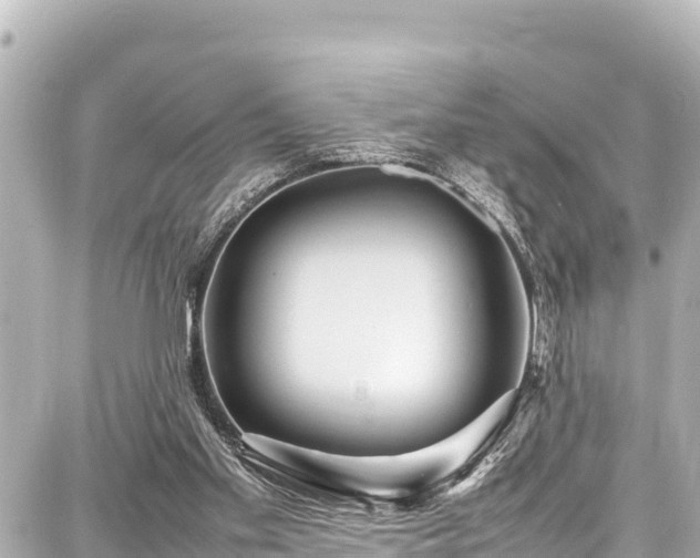 X0000087750109200705141300