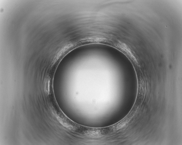 X0000087750110200705141300