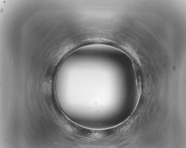 X0000087750111200705141300