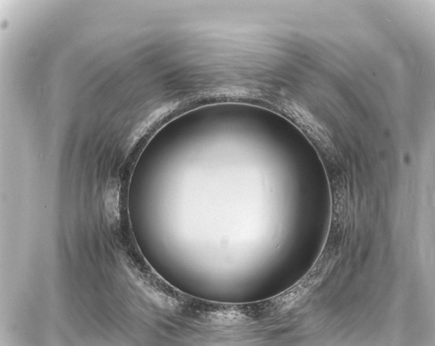 X0000087750112200705141300