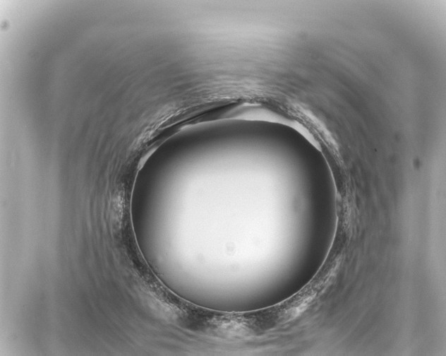 X0000087750113200705141300