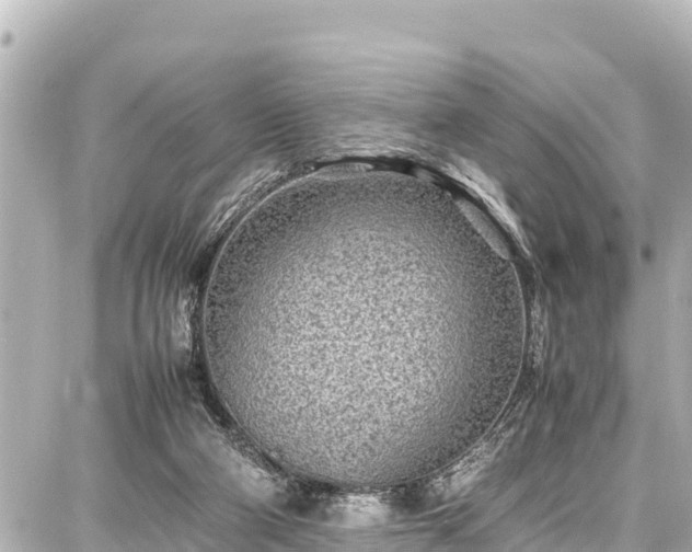 X0000087750114200705141300