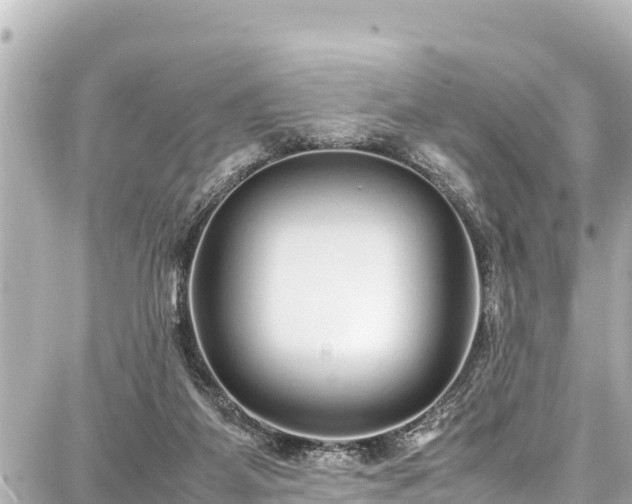 X0000087750115200705141300