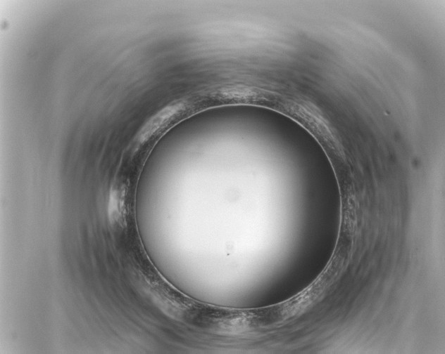 X0000087750116200705141259