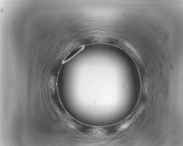 X0000087750121200705141259