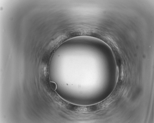 X0000087750123200705141259