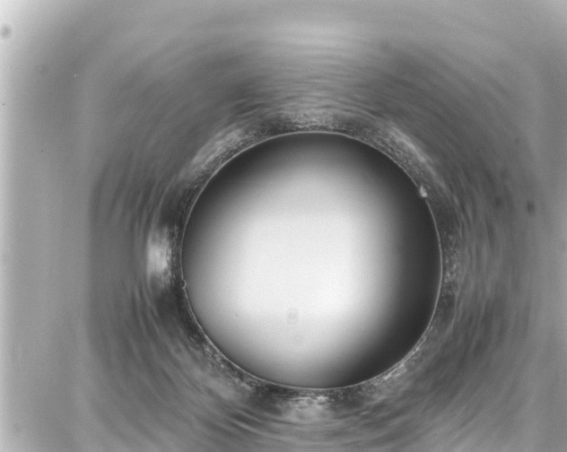 X0000087750124200705141259