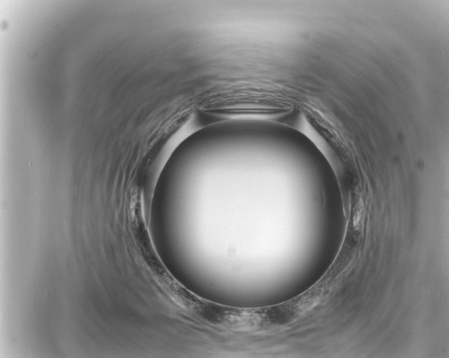 X0000087750125200705141259