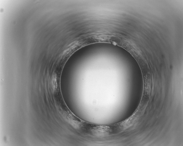 X0000087750128200705141259