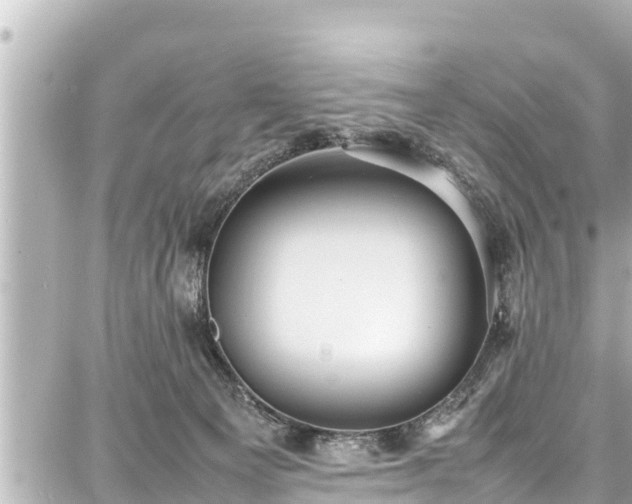 X0000087750129200705141259