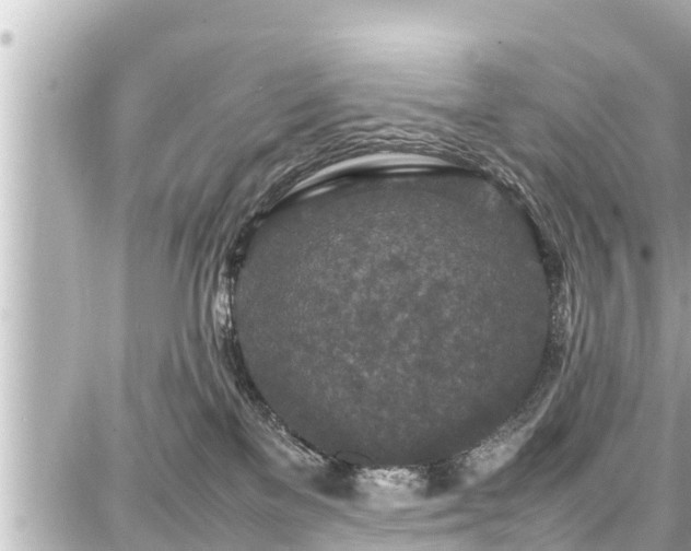 X0000087750137200705141259