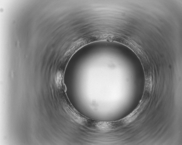 X0000087750142200705141259