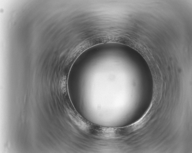 X0000087750144200705141259