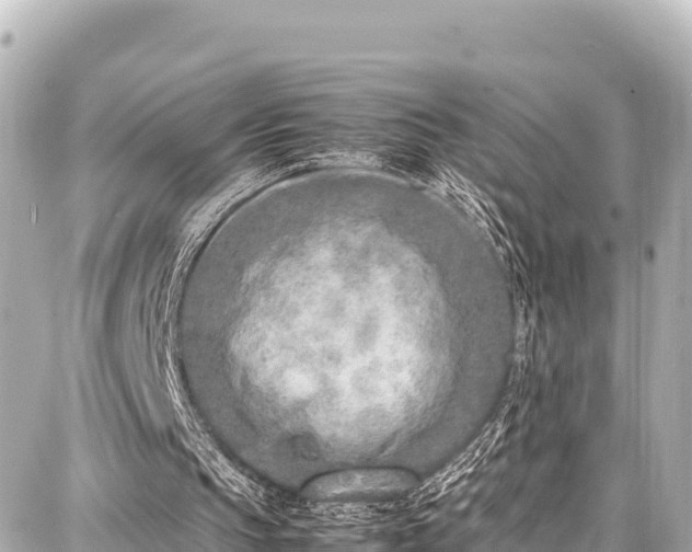 X0000087750145200705141258