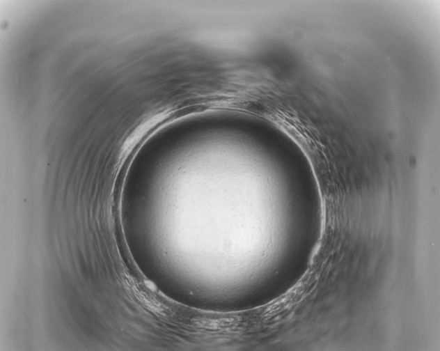 X0000087750147200705141258