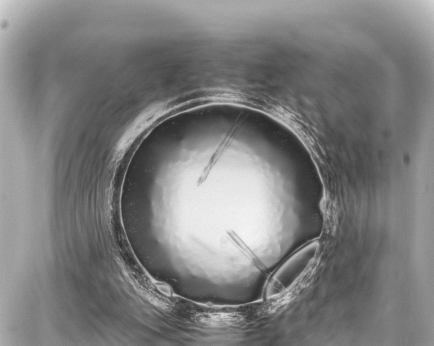 X0000087750151200705141258