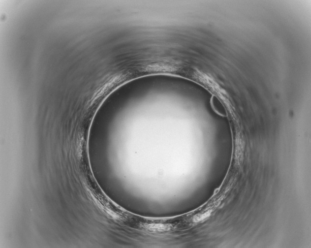 X0000087750153200705141258