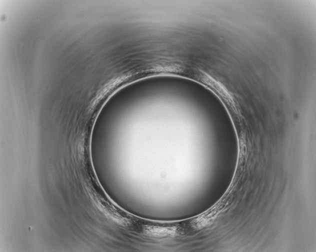 X0000087750155200705141258