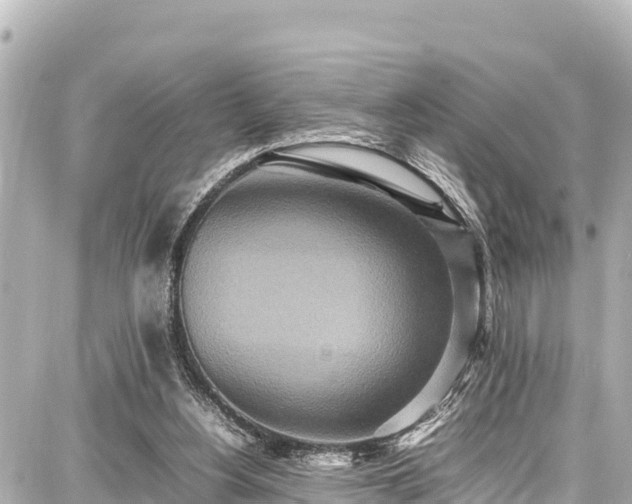 X0000087750156200705141258