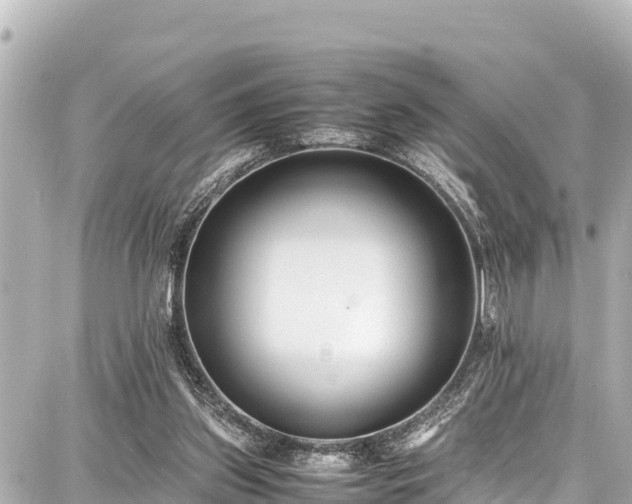 X0000087750157200705141258