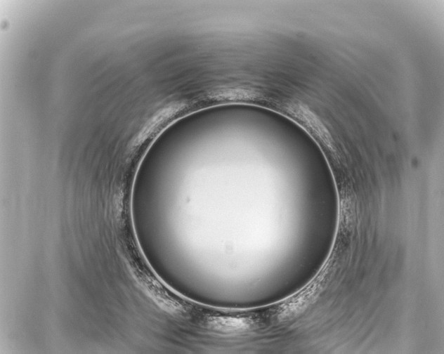 X0000087750159200705141258