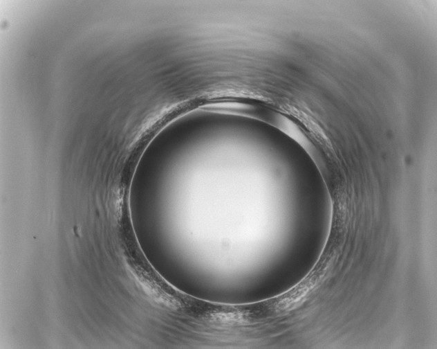 X0000087750160200705141258