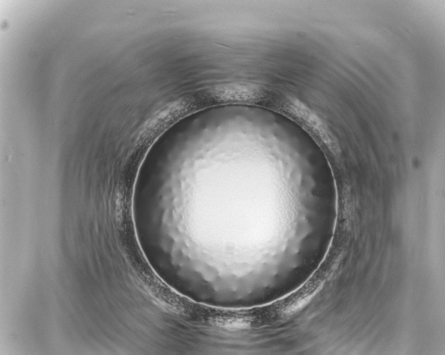 X0000087750161200705141259