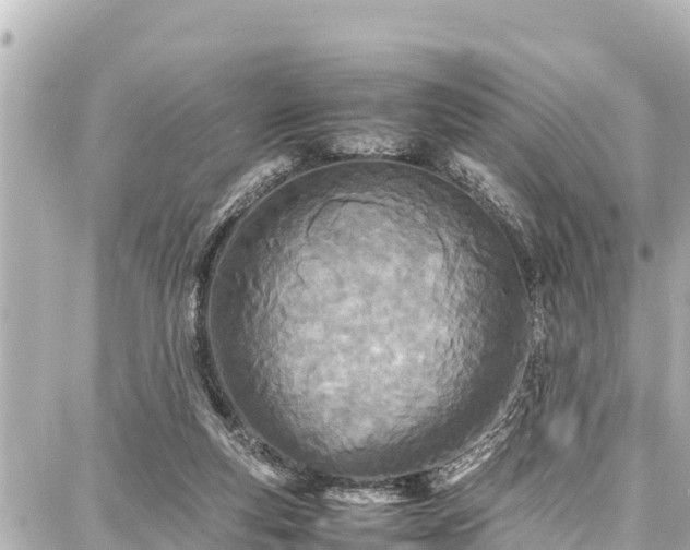 X0000087750163200705141259