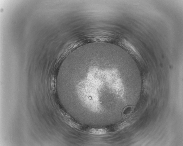 X0000087750169200705141259