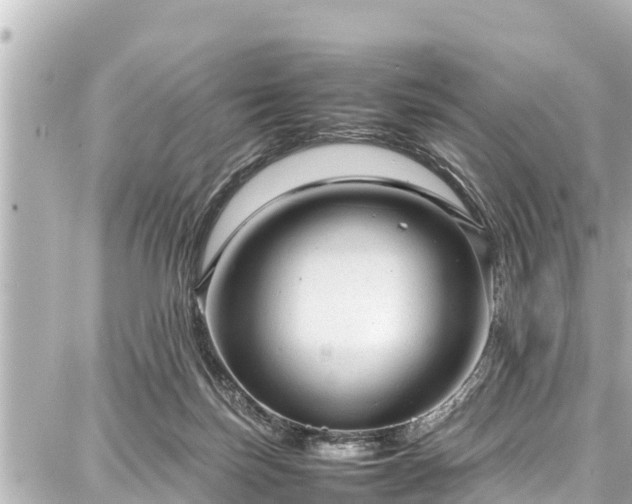 X0000087750171200705141259