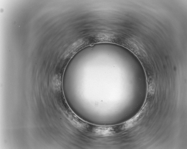 X0000087750179200705141259