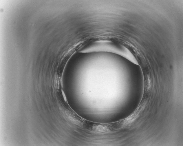 X0000087750180200705141259