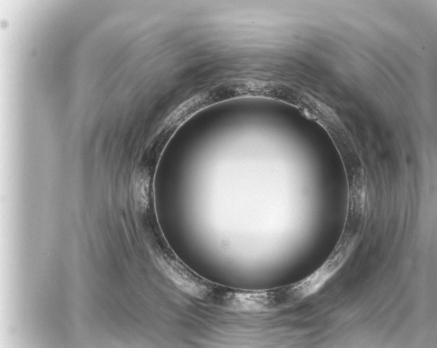 X0000087750188200705141259