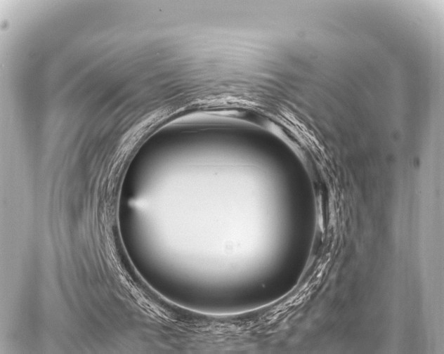 X0000087750193200705141258